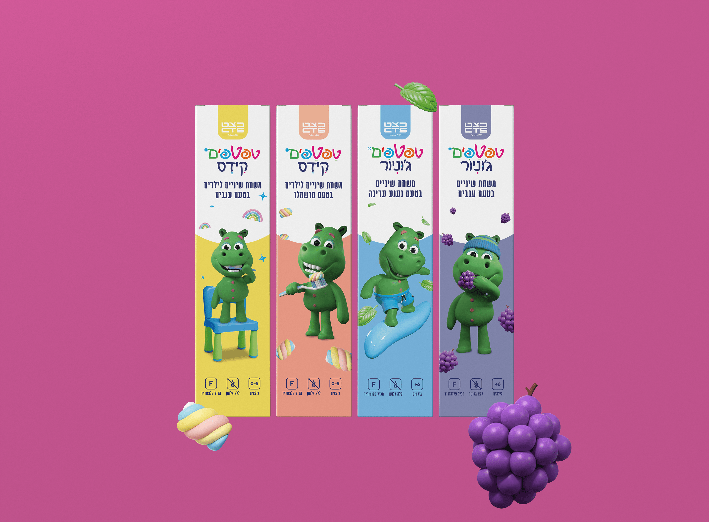 כצט CTS